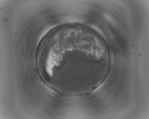 X0000070861023200607071852