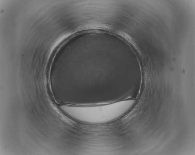 X0000070861024200607071852