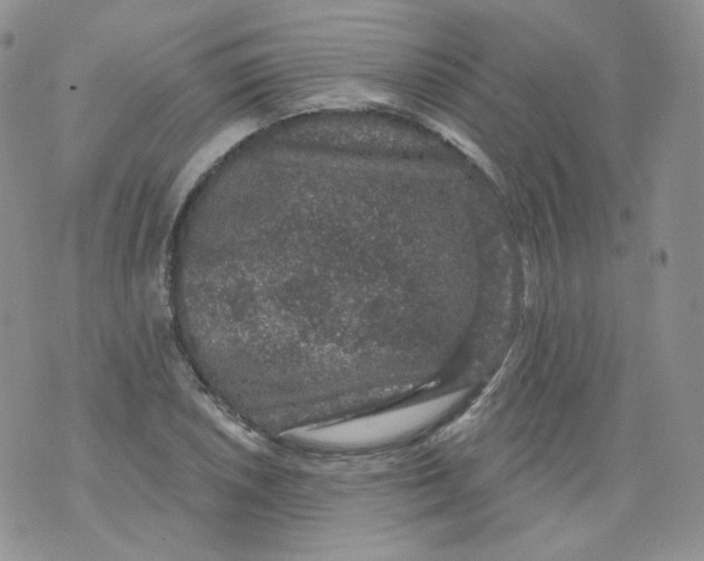 X0000070861026200607071852