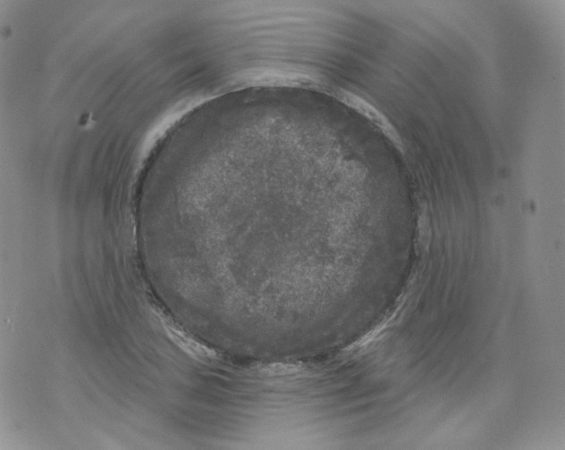 X0000070861027200607071852