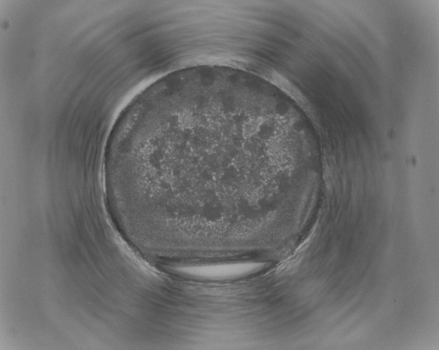 X0000070861028200607071852