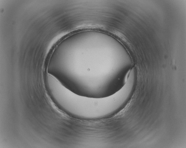 X0000070861030200607071852