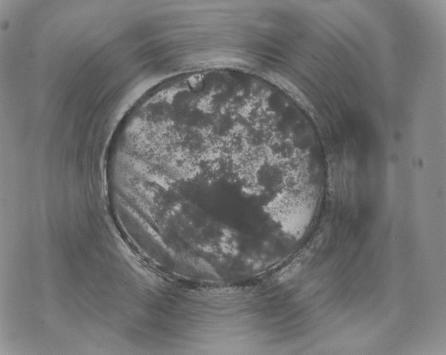 X0000070861031200607071852