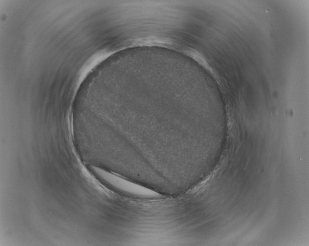 X0000070861032200607071852