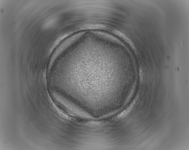 X0000070861033200607071852