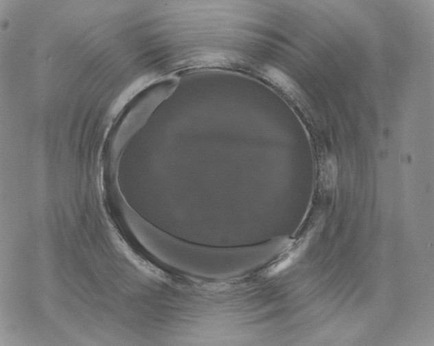 X0000070861034200607071852