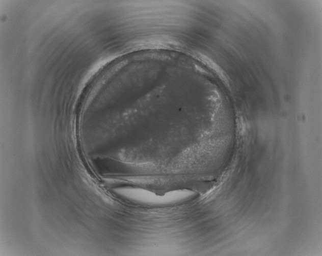 X0000070861035200607071852