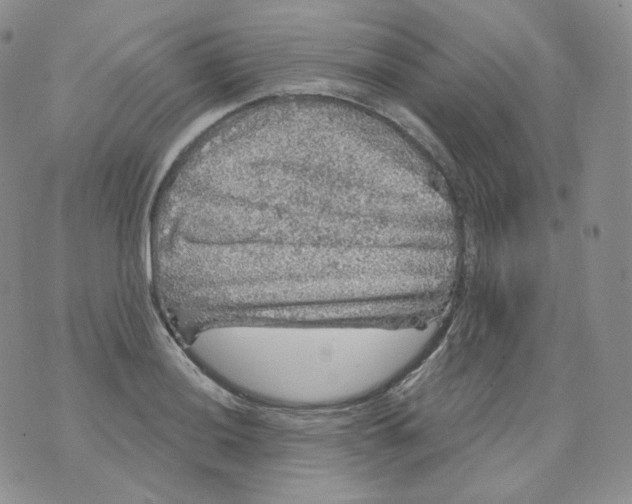 X0000070861036200607071852