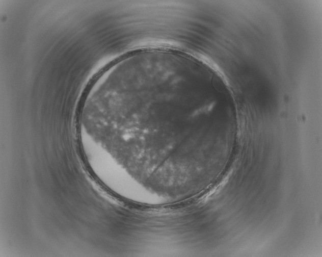 X0000070861037200607071852