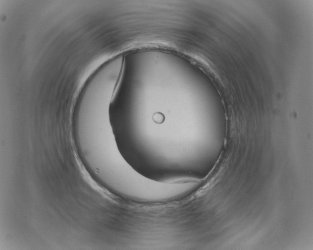 X0000070861038200607071852