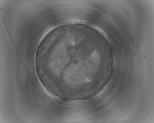 X0000070861039200607071852