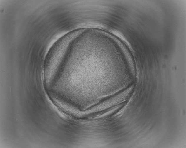 X0000070861040200607071852