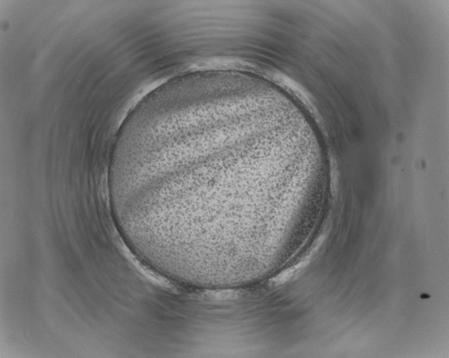 X0000070861041200607071852