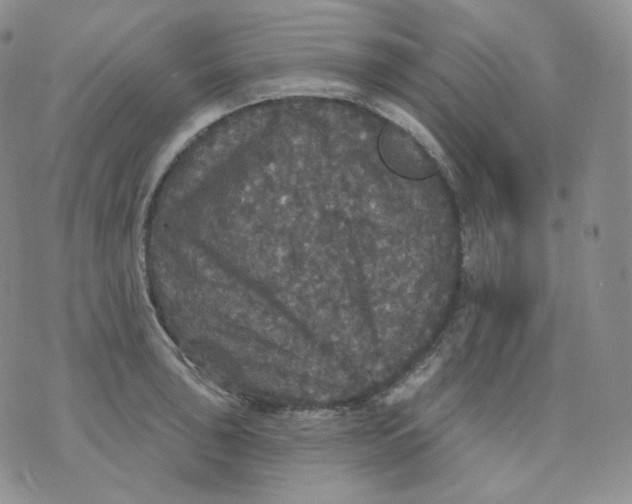 X0000070861043200607071853