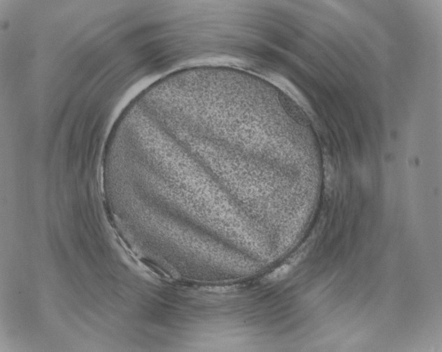 X0000070861044200607071853