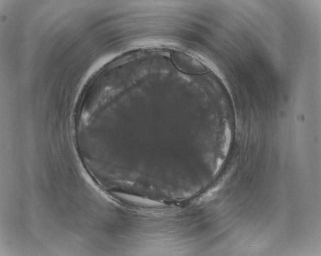 X0000070861045200607071853