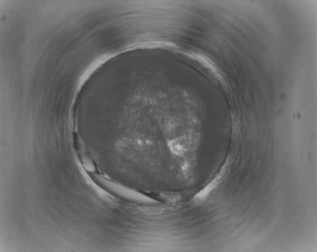 X0000070861046200607071853