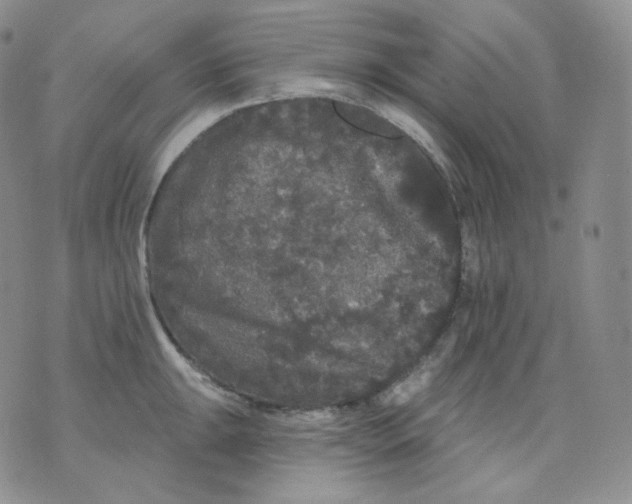 X0000070861047200607071853