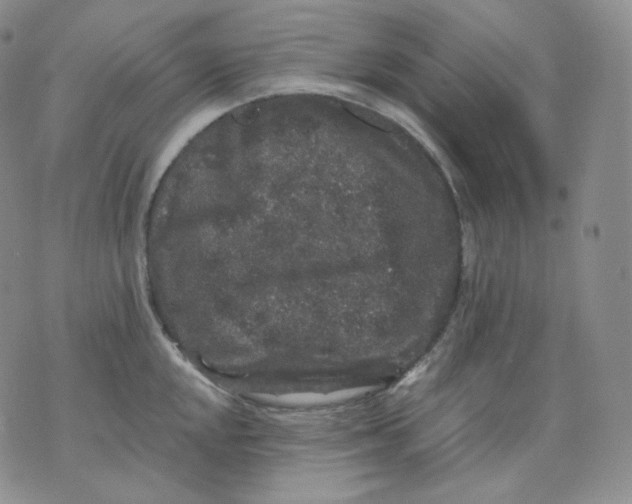 X0000070861048200607071853