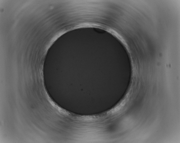 X0000070861049200607071853