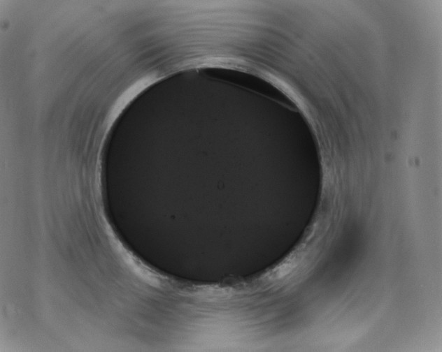 X0000070861050200607071853