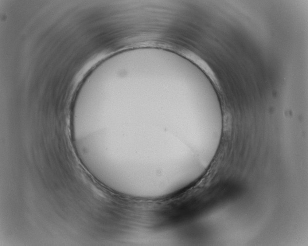 X0000070861051200607071853