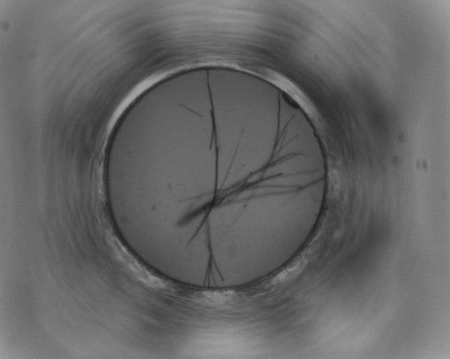 X0000070861052200607071853