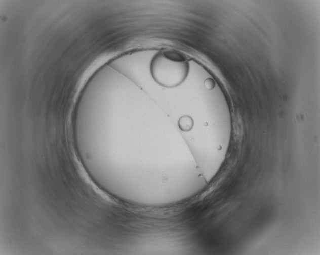 X0000070861053200607071853