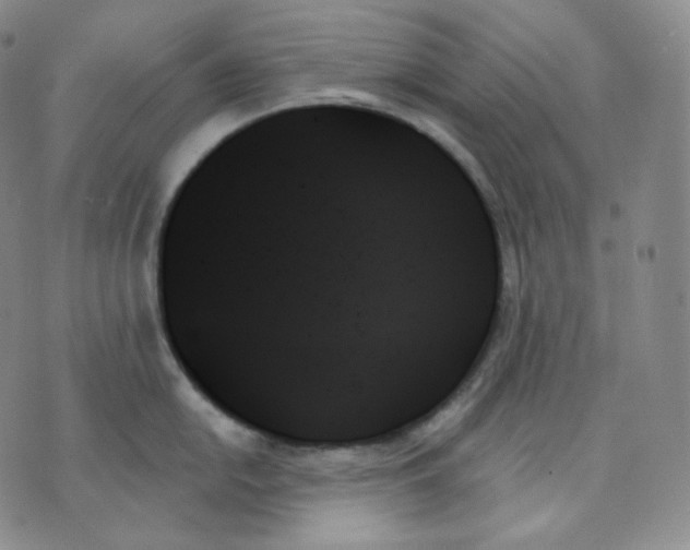 X0000070861054200607071853