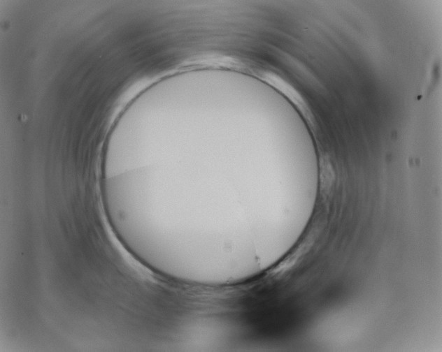 X0000070861055200607071853