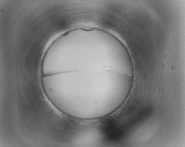 X0000070861056200607071853