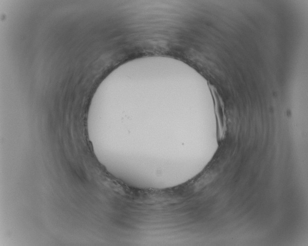 X0000070861057200607071852