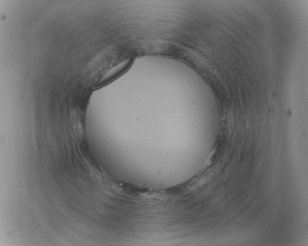 X0000070861058200607071852