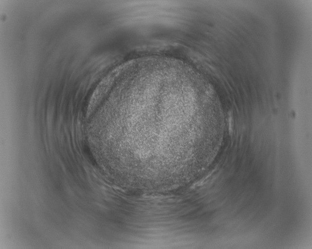 X0000070861059200607071852