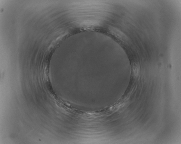 X0000070861060200607071852