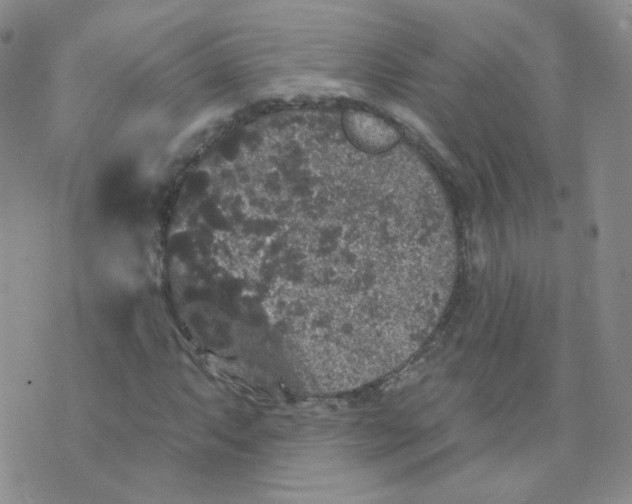 X0000070861063200607071852