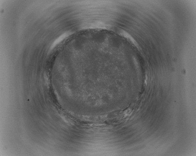 X0000070861064200607071852