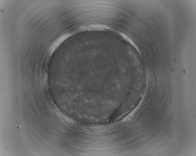 X0000070861066200607071852