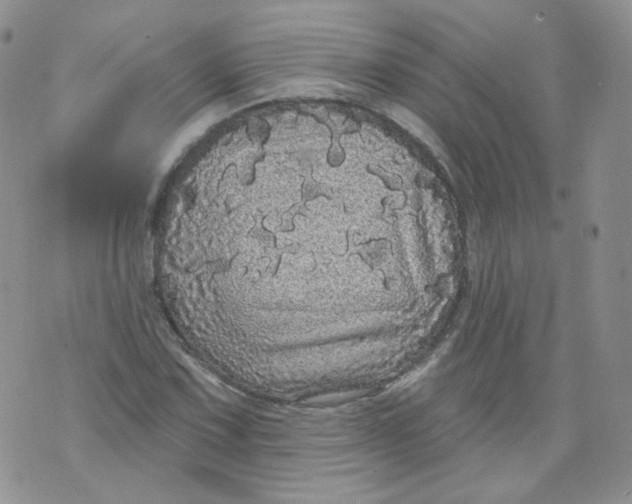 X0000070861067200607071852