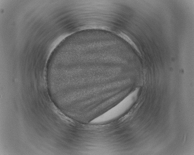 X0000070861068200607071852