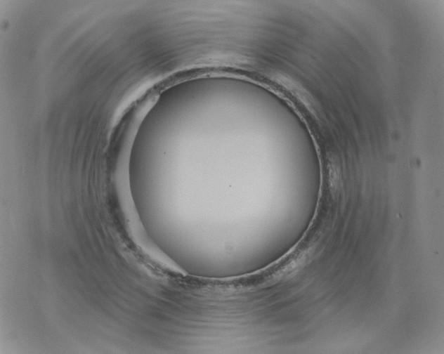 X0000070861069200607071852