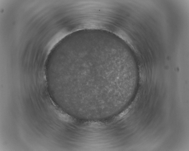 X0000070861070200607071852