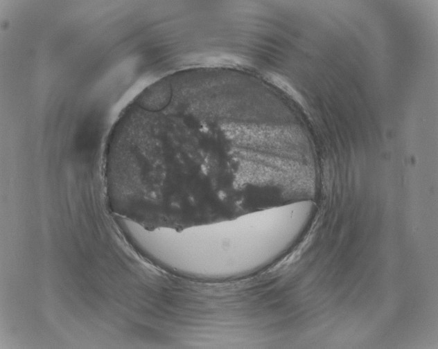 X0000070861071200607071852