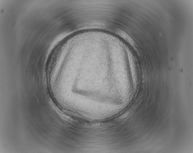 X0000070861072200607071852