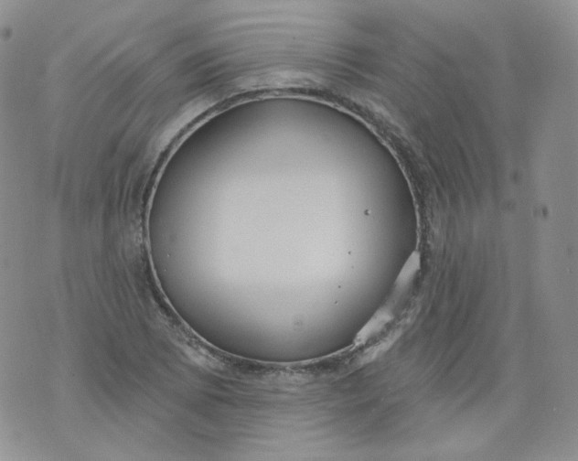 X0000070861073200607071852