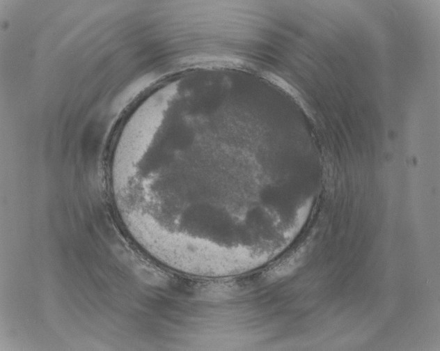 X0000070861074200607071852