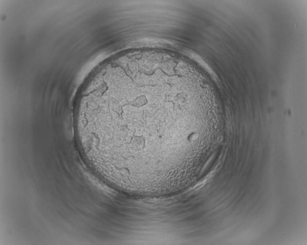 X0000070861075200607071852