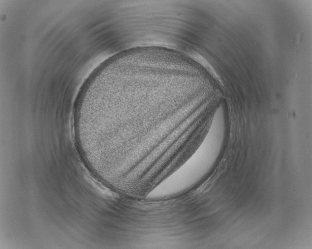 X0000070861076200607071852