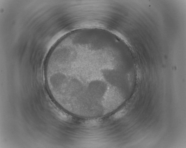 X0000070861078200607071852