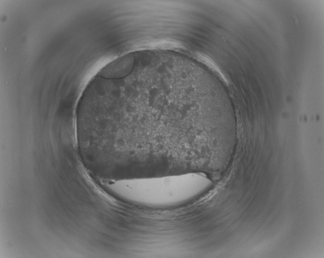 X0000070861079200607071852